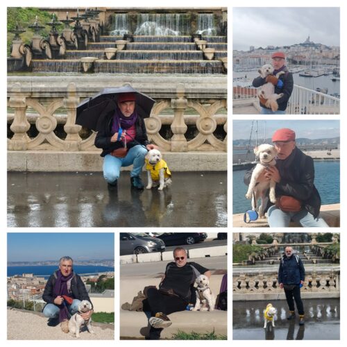 20251129_201523-COLLAGE