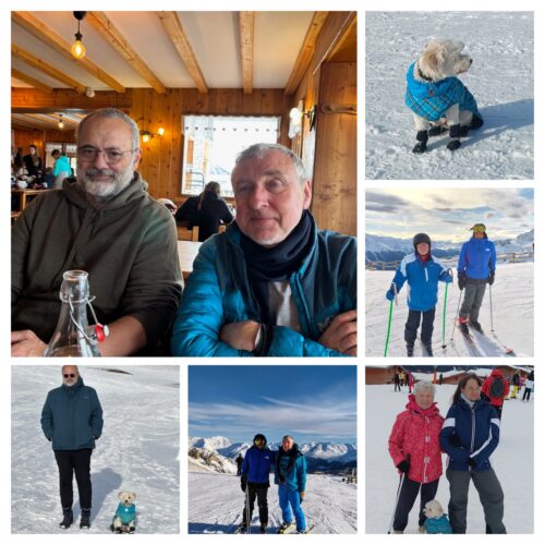 20251129_201945-COLLAGE